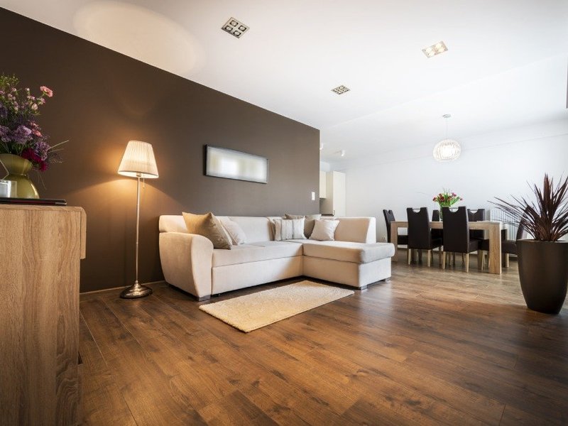 brown hardwood and white rug in living room from Troy Flooring Center on Troy, MO area